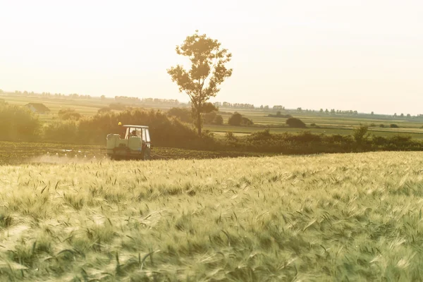 Landwirtschaftliche Flächen brauchen regelmäßige Pflege — Stockfoto