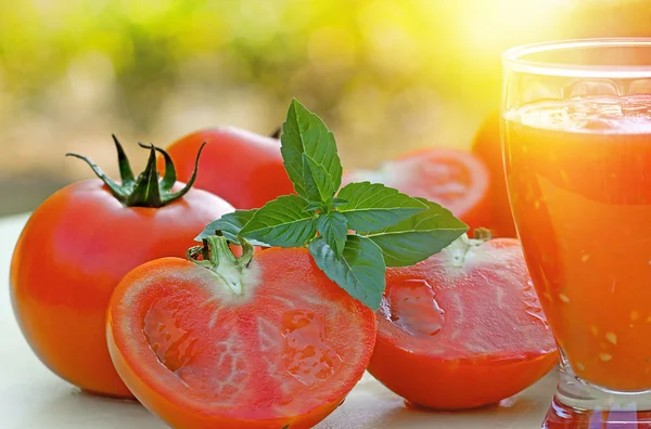 Tomaten en tomatensap - smoothie — Stockfoto