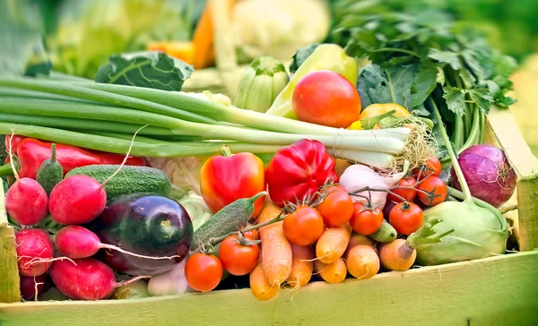 Fresh organic vegetables — Stock Photo, Image