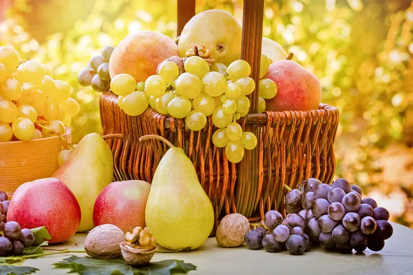 Fresh seasonal organic fruits — Stock Photo, Image