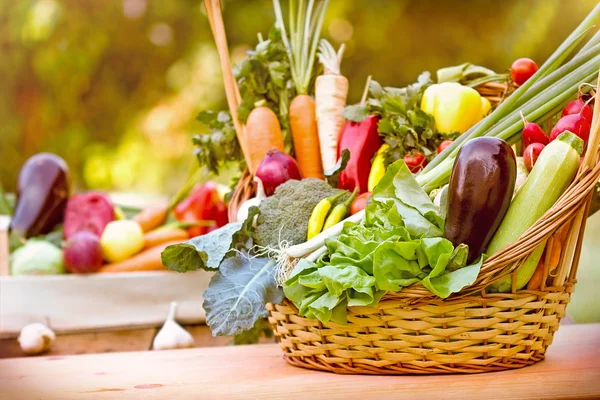 Verduras frescas en canasta de mimbre — Foto de Stock