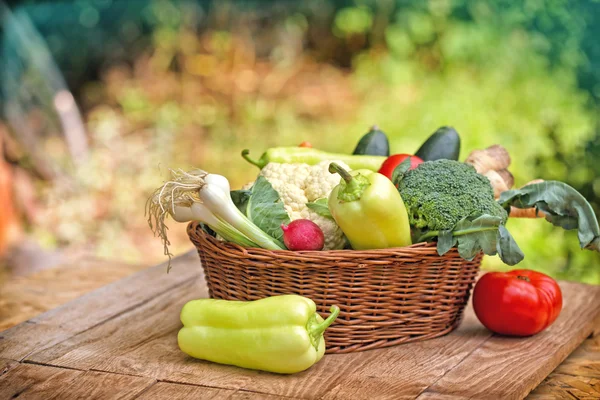 Verduras ecológicas en canasta de mimbre —  Fotos de Stock