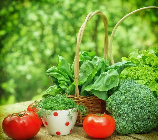 Frisches Gemüse - gesunde Ernährung — Stockfoto