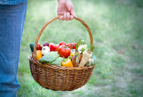 Cesta llena de verduras ecológicas — Foto de Stock