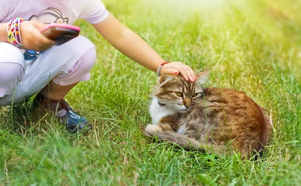 Freunde - Kind und Katze — Stockfoto