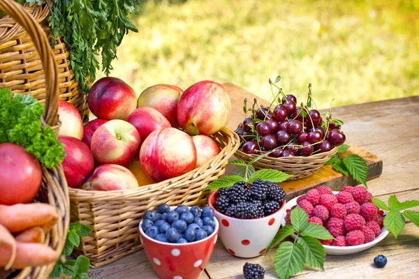 Frutas frescas ecológicas de temporada — Foto de Stock