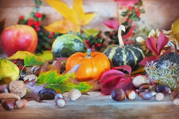 Rijke herfst oogst — Stockfoto