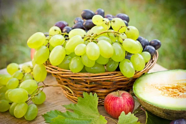 Uvas: uvas blancas y rojas (frutas de temporada) ) — Foto de Stock