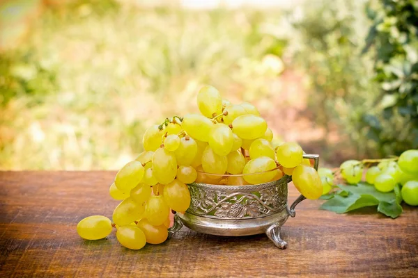 Fresh green - white grapes — Stock Photo, Image