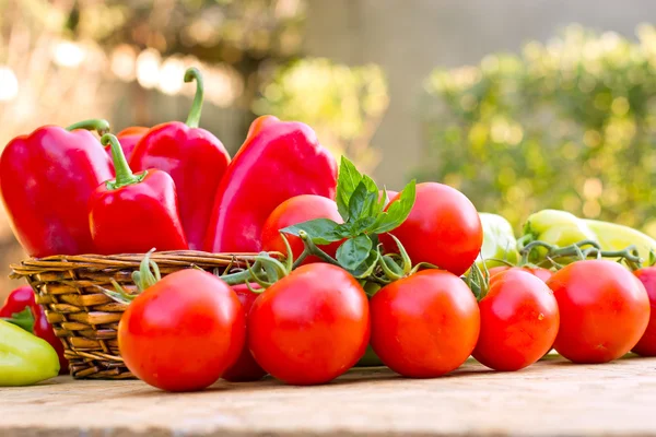 Verdure fresche in tavola — Foto Stock