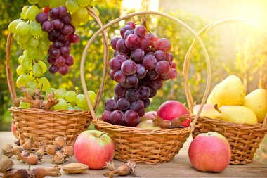 Mevsimlik meyve - sonbahar meyve