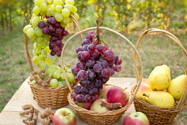 Fresh organic autumn fruits — Stock Photo, Image