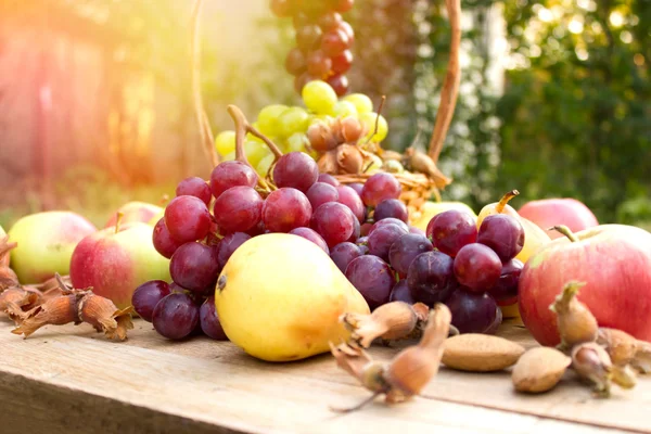 Čerstvé bio podzimní ovoce — Stock fotografie
