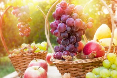 Sonbahar tatlı meyveler ile zengin