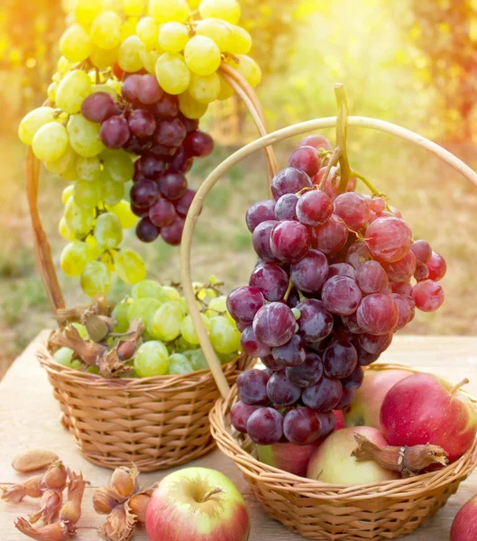 Autumn harvest - thanksgiving — Stock Photo, Image