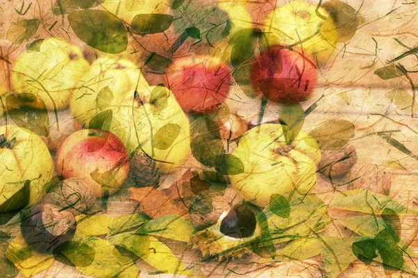 Raccolta autunnale - decorazione autunnale — Foto Stock