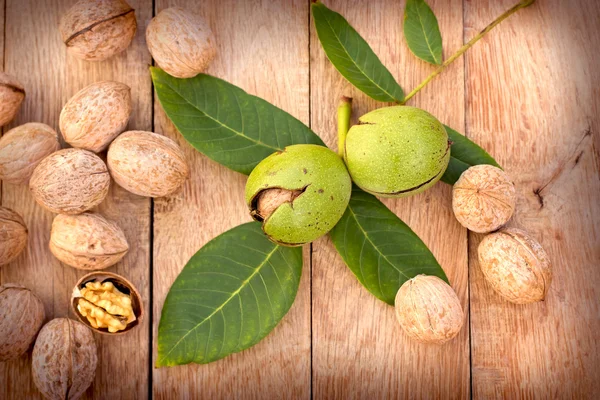 Walnut — Stock Photo, Image