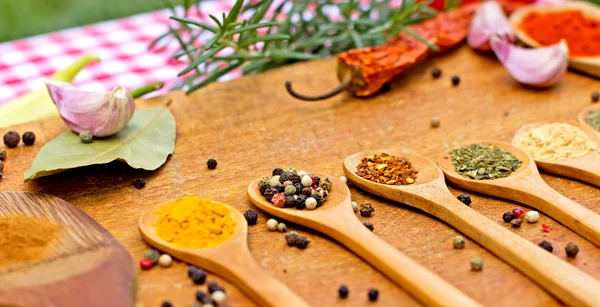 Fresh and dried spices - seasoning — Stock Photo, Image