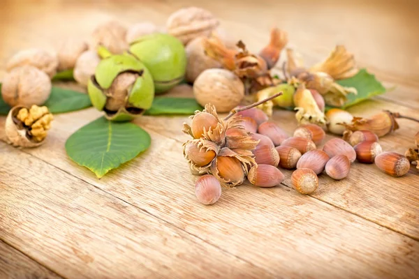 Organic hazelnut and walnut — Stockfoto