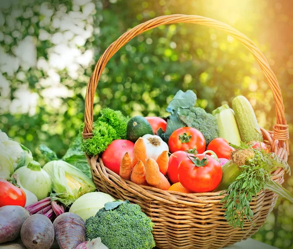Fresh organic vegetable in wicker basket — Stock Photo, Image