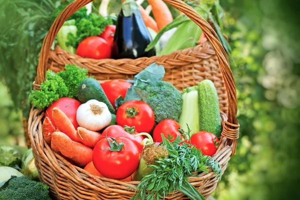 Fresh organic vegetables in wicker baskets — Stock Photo, Image