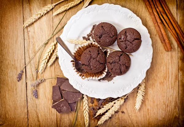 Heerlijke chocolade muffins — Stockfoto