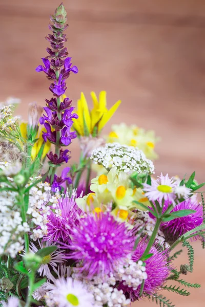 Strauß schöner Wiesenblumen - Frühlingsblumen — Stockfoto