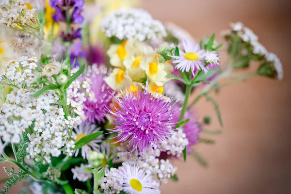 Strauß schöner Wiesenblumen - Frühlingsblumen — Stockfoto