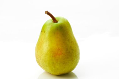 armut beyaz arkaplanda