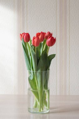 Güneşli bir günde cam bir vazoda kırmızı laleler. Sevilen birinin hediyesi.