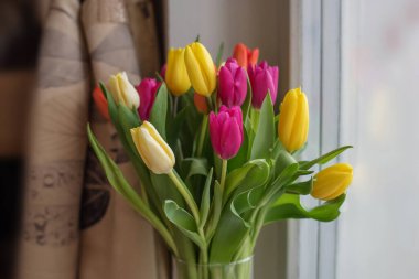 Güzel, büyük, çok renkli laleler sarı turuncu ve kırmızı cam bir vazo içinde en sevdiği hediye.