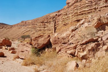 Çölde güneşli bir günde mavi gökyüzü, küçük bitki parçalarıyla