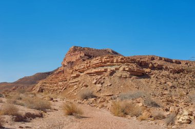 Çölde güneşli bir günde mavi gökyüzü, küçük bitki parçalarıyla