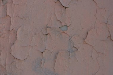 Duvar dokusunda pek çok boya tabakası yumuşak ışığı çatlattı.