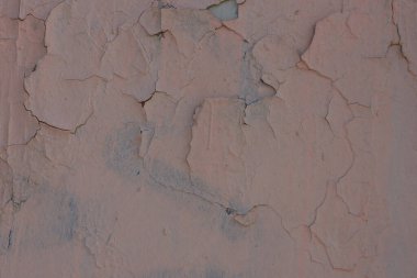 Duvar dokusunda pek çok boya tabakası yumuşak ışığı çatlattı.