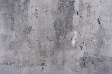 Duvar dokusunda pek çok boya tabakası yumuşak ışığı çatlattı.