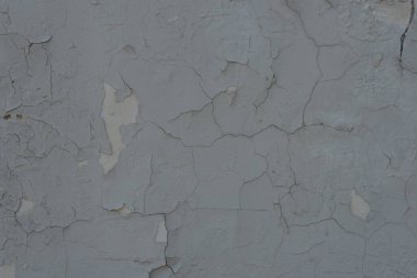 Duvar dokusunda pek çok boya tabakası yumuşak ışığı çatlattı.