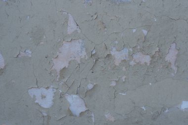 Duvar dokusunda pek çok boya tabakası yumuşak ışığı çatlattı.