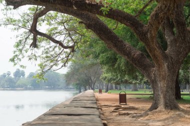 Angkor Wat tapınağındaki göl kenarındaki setin üzerindeki ağaç.