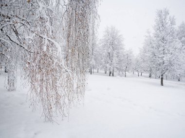 Parkta şiddetli kar yağışı, kar beyazı manzarası