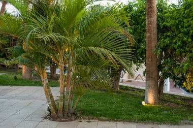 İnsansız turistik yerler boş, sıcak bir akşam.