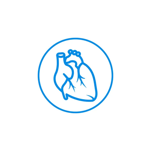 Human Heart Organ Icon Vector — Stock Vector