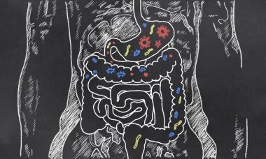 Intestines Sketch with Guts Bacteria clipart