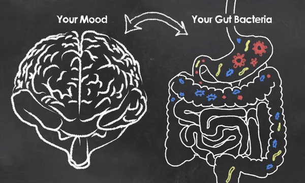 Umore e i batteri dell'intestino — Foto Stock