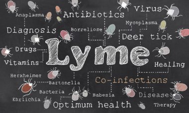 Lyme co enfeksiyon illüstrasyon