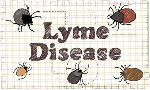 Ilustracja choroby z Lyme — Zdjęcie stockowe