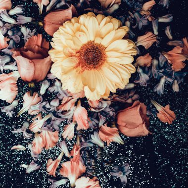 Çiçekler parlak zemin üzerine karıştırın. Minimalizm moda