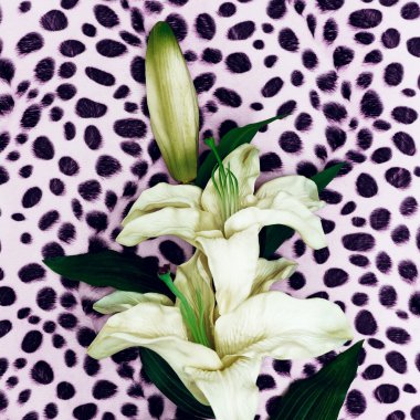Moda hayvan arka plan üzerinde çiçek Lily. Minimalizm