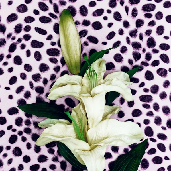 Flor Lily em fundo animal de moda. Minimalismo — Fotografia de Stock