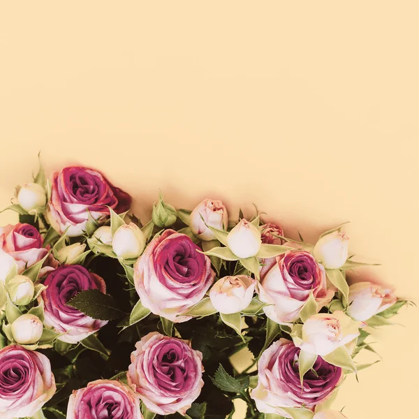 Rosas de buquê em um fundo amarelo. Minimalismo Moda — Fotografia de Stock